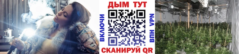 Марихуана гибрид  где купить наркоту  Чадан 